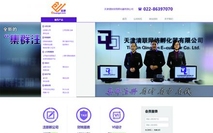 天津清聯(lián)網(wǎng)絡孵化器有限公司